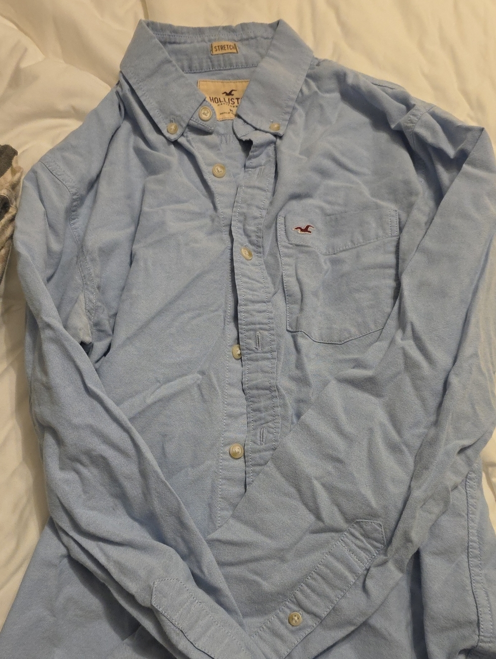 Hollister Men's Button-Down BUNDLE
